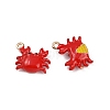 Brass Alloy Charms X-KK-R226-15G-02-2