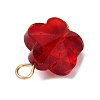 Transparent Glass Pendants PALLOY-JF04099-02-4
