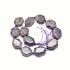 Natural Charoite Beads Strands G-O170-82-2