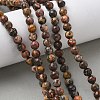 Natural Leopard Skin Jasper Beads Strands G-J358-05-6mm-6