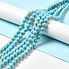 Synthetic Turquoise and Sea Shell Assembled Beads Strands G-D482-01C-07-1
