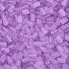 FGB Frosted Transparent Glass Seed Beads SEED-N013-05A-07-3