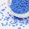 (Repacking Service Available) Glass Seed Beads SEED-C019-2mm-43B-1