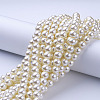 Glass Pearl Beads Strands HY-10D-B02-4