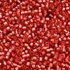 TOHO 6/0 Round Beads X-SEED-TR06-2201-4