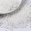 MIYUKI Round Rocailles Beads X-SEED-G008-RR0471-1