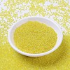 MIYUKI Round Rocailles Beads SEED-X0054-RR0252-2