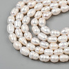 Oval Natural Cultured Freshwater Pearl Beads Strands PEAR-R015-45-8