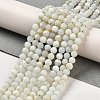Natural Green Opal Beads Strands G-Z035-A02-03B-2