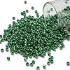 TOHO 8/0 Round Beads SEED-TR08-0130D-1