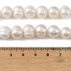 Natural Cultured Freshwater Pearl Beads Strands PEAR-L034-18D-5