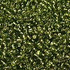 8/0 Glass Seed Beads X2-SEED-A005-3mm-24-2