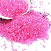 Transparent Colours Glass Seed Beads SEED-H003-01E-1