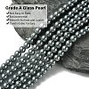 Eco-Friendly Dyed Glass Pearl Round Beads Strands HY-A008-6mm-RB077-2