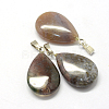 Teardrop Natural Indian Agate Pendants G-Q368-02-2