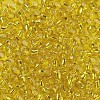 6/0 Glass Seed Beads SEED-A005-4mm-30-2