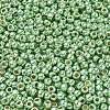 TOHO 6/0 Round Beads X-SEED-TR06-PF0560-3