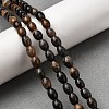 Natural Petrified Wood Beads Strands G-K362-I11-02-1