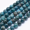 Natural Apatite Beads G-E481-05-6mm-1