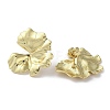 Rack Plating Brass Leaf Stud Earrings EJEW-M237-04G-2