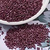 MIYUKI Delica Beads X-SEED-J020-DB2308-1