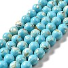 Synthetic Turquoise and Sea Shell Assembled Beads Strands G-D482-01E-07-2