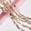 Drawbench Style Natural Freshwater Shell Beads Strands SHEL-F003-05-2