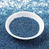 MIYUKI Round Rocailles Beads SEED-G007-RR0339-2