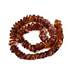 Natural Amber Beads Strands G-N371-12A-02-3