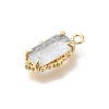 Brass Glass Charms KK-U061-10G-03-2
