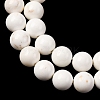 Round Natural Magnesite Beads Strands G-M138-42-A-4
