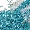 TOHO Round Seed Beads SEED-JPTR15-0023-1