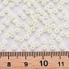 8/0 Opaque Glass Seed Beads SEED-S048-N-010-4