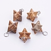 Natural Picture Jasper Pendants G-E398-02C-2