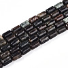 Natural Biotite Beads Strands G-N346-01B-02-2