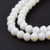 Electroplate Opaque Solid Color Glass Beads Strands LS-EGLA-A034-P6mm-L17-4