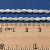 Natural Trochus Shell Beads Strands SSHEL-H072-02A-4