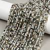 Natural Moss Agate Beads Strands G-RM2025-A33-2mm-1