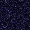 11/0 FGB Grade A Baking Paint Glass Seed Beads X-SEED-N001-A-1009-2