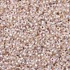 MIYUKI Round Rocailles Beads X-SEED-G007-RR1023-2