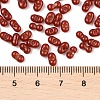 Baking Paint Glass Seed Beads SEED-L011-09A-24-4
