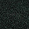 MIYUKI Round Rocailles Beads X-SEED-G008-RR0156-2