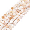 Natural Freshwater Shell Beads Strands SHEL-H002-03G-1