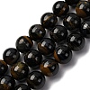 Dyed Natural Blue Tiger Iron Beads Strands G-G286-A03-10mm-2