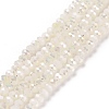 Electroplate Glass Faceted Rondelle Beads Strands EGLA-D020-3x2mm-05-1