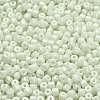 Baking Paint Pearlized Glass Seed Beads SEED-C001-04A-01-3