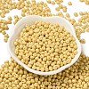 6/0 Opaque Baking Paint Glass Seed Beads X1-SEED-M012-02A-07-2
