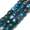 Natural Apatite Beads Strands G-G980-04-1