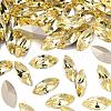 Preciosa® MAXIMA Crystal Fancy Stones X-PRC-FG15-80100-1