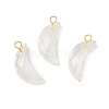 Natural Quartz Crystal Pendants G-L614-D05-G01-1